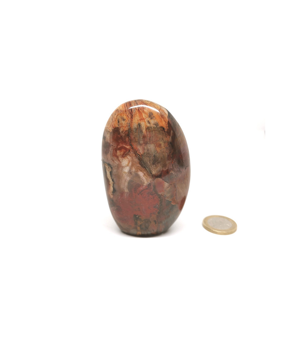 Bois fossilisé - Forme Libre - 8.5 x 5.5 x 2.5 cm / 219 gr
