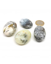 Opale mousse (Merlinite) 2,5-3cm