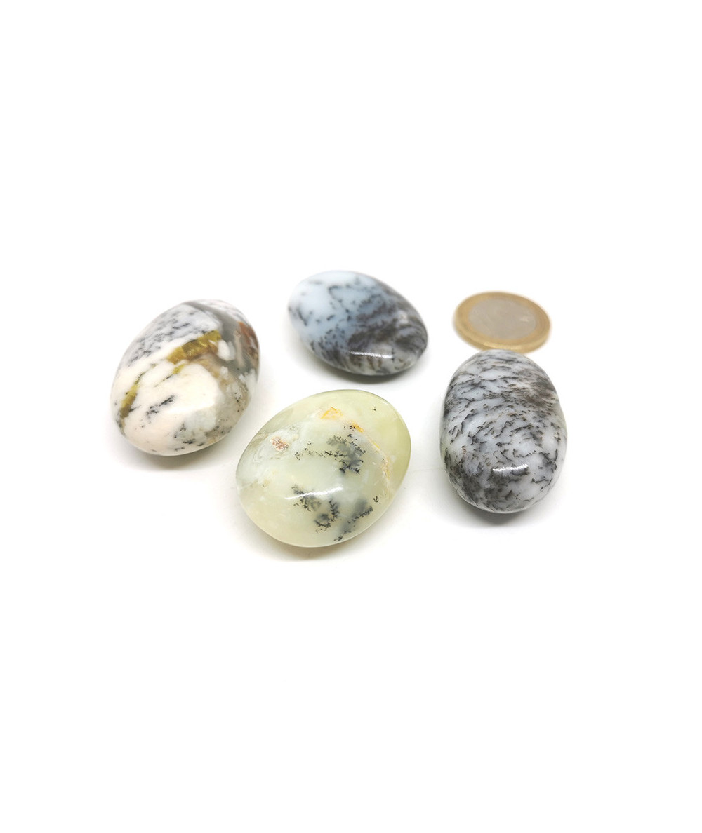 Opale mousse (Merlinite) 2,5-3cm