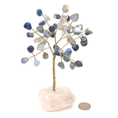 Sodalite - Arbre de Vie