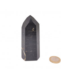 Tourmaline noire - pointes