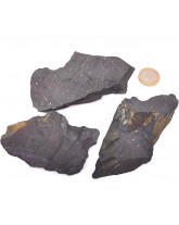 Shungite