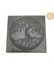Shungite - Plaque face polie Arbre de Vie