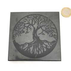 Shungite - Plaque face polie Arbre de Vie