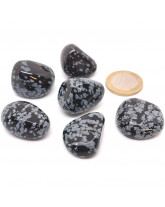 OBSIDIENNE NEIGE