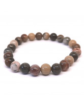 Bois fossilisé (Bois Pétrifié) - Bracelets