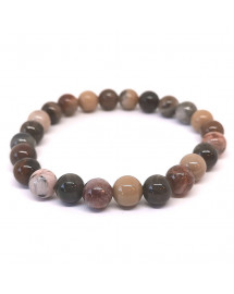 Bois fossilisé (Bois Pétrifié) - Bracelets