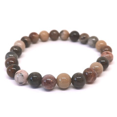 Bois fossilisé (Bois Pétrifié) - Bracelets