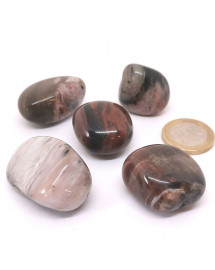Bois fossilisé - Pierres roulées