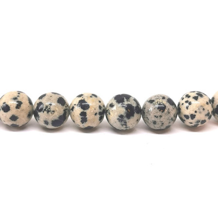 Jaspe dalmatien - Fil de Perles