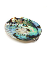 Abaone (Ormeau) - Coquillage