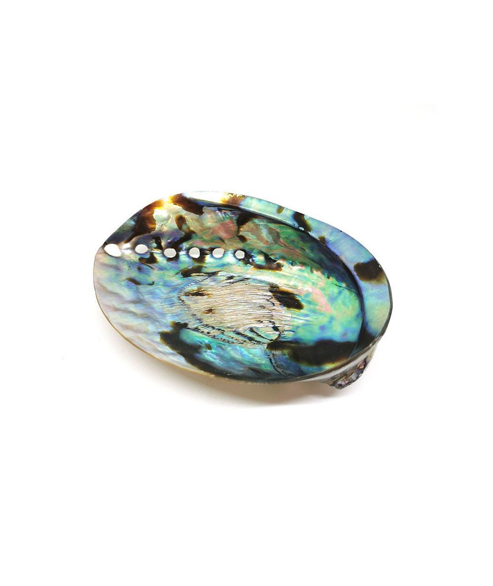 Abaone (Ormeau) - Coquillage