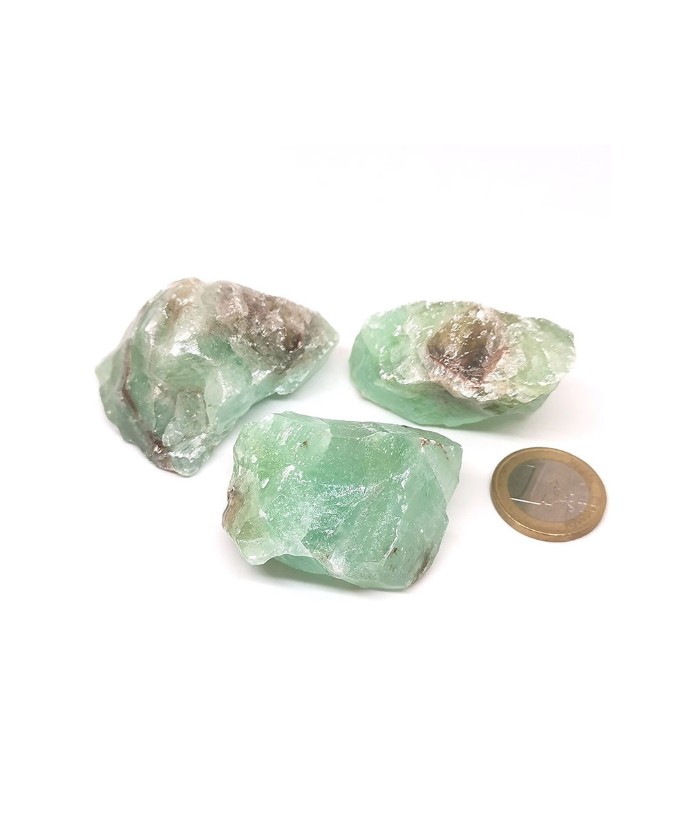 Caclite verte