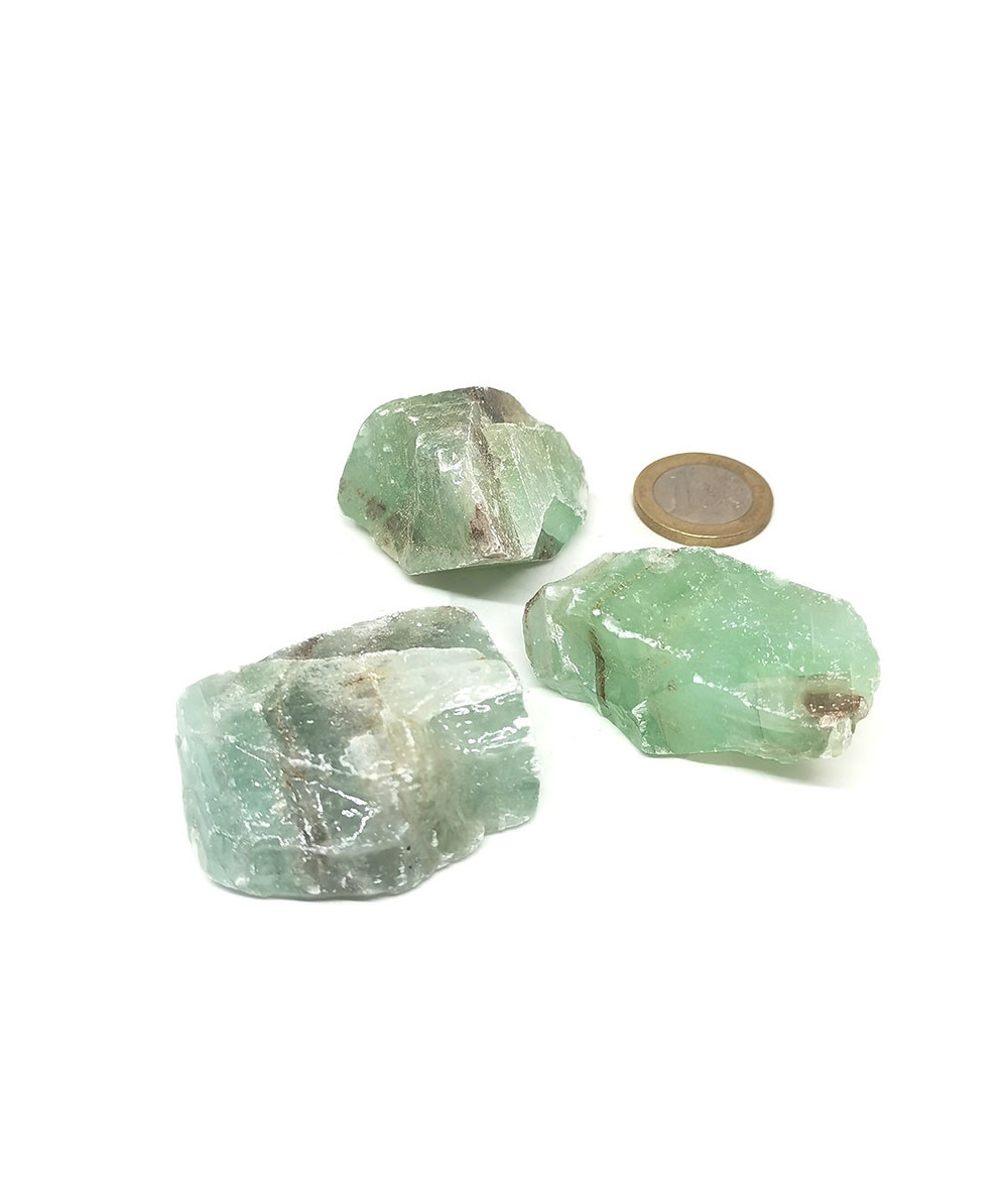 Caclite verte