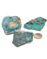 Chrysocolle 