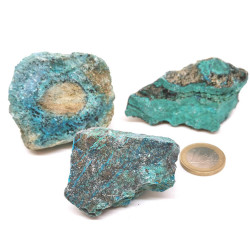 Chrysocolle 