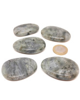 Labradorite (pierre des thérapeutes) - Galets Plats