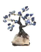 Sodalite - Bonsai