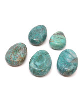 Chrysocolle
