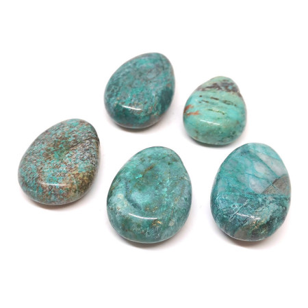 Chrysocolle