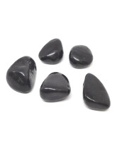 Shungite 