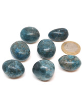 Apatite bleue extra - 2,5/3 cm
