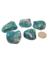 Chrysocolle