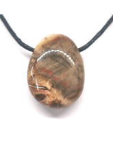 Bois fossilisé (pétrifié) 