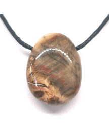 Bois fossilisé (pétrifié) 