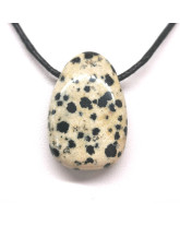 Jaspe dalmatien