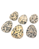 Jaspe dalmatien