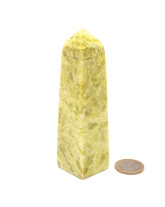 Serpentine - Pointe Polie