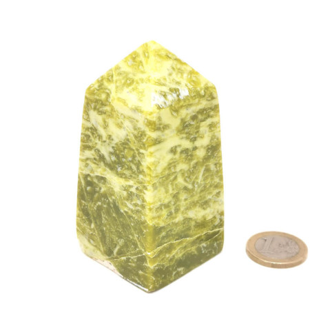 Serpentine - Pointe Polie