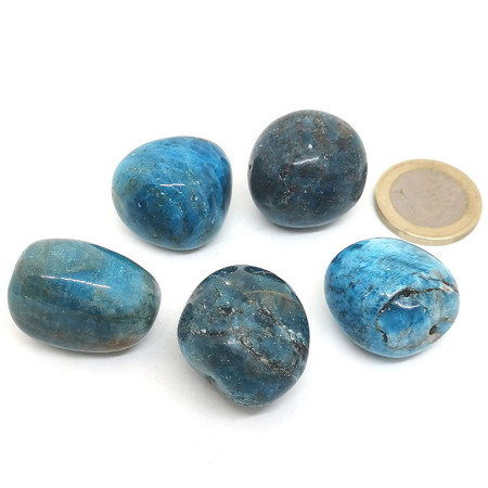 Apatite bleue extra - 2,5/3 cm