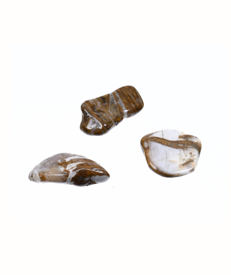 image de pierres roulées de jaspe chocolat