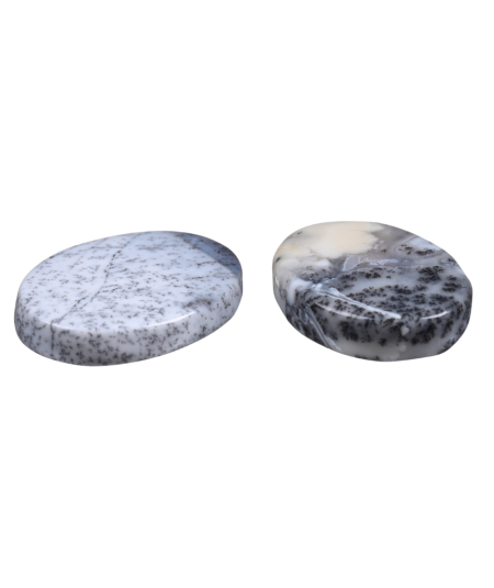 Photo de galets plats en agate dendrite (Dendritique)
