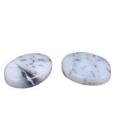 Photo de galets plats en agate dendrite (Dendritique)