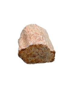 Photo d'un rondin poli de bois fossilisé