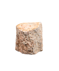 Photo d'un rondin poli de bois fossilisé