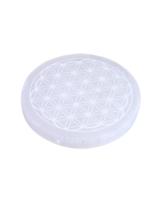 Photo de plaque de rechargement fleur de vie en sélénite