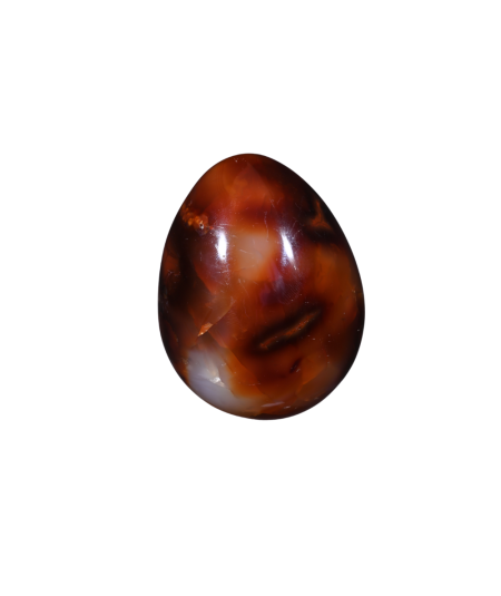 Photo d'un oeuf en cornaline