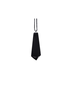 Photo d'un pendentif pointe en shungite