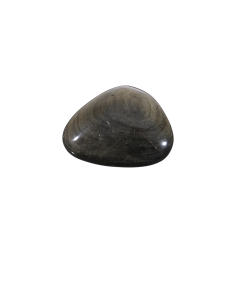 Photo d'un galet obsidienne dorée