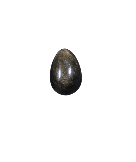 Image d'un oeuf en obsidienne argentée