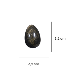 Image d'un oeuf en obsidienne argentée
