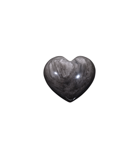 Photo d'un coeur en obsidienne argentée