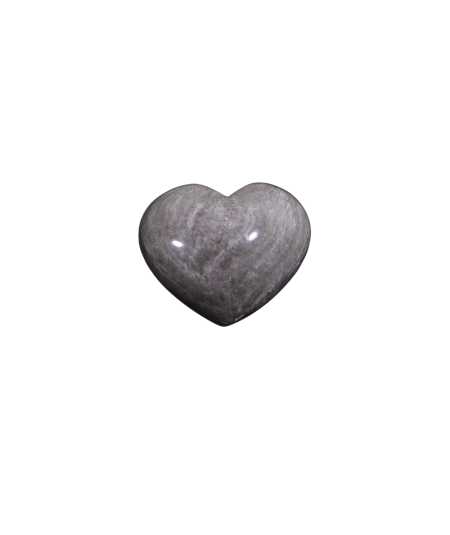 Photo d'un coeur en obsidienne argentée