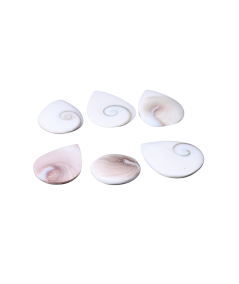 Image de cabochons en oeil de sainte lucie