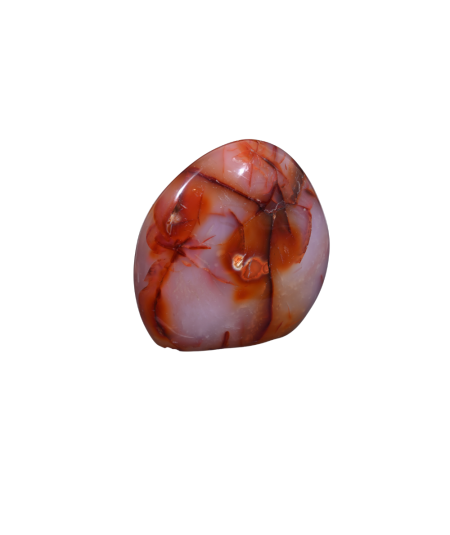 Image d'une forme libre en cornaline