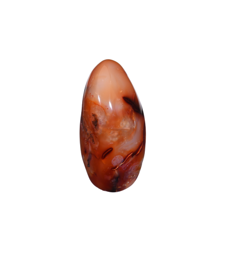 Image d'une forme libre en cornaline